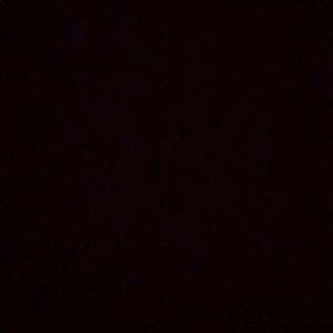 Meet your Posher, Janai